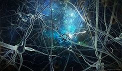 Neurons and Neurology