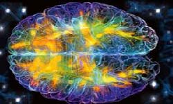 Neurology and Cognitive Neuroscience