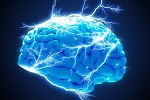 Neuroscience and Neurology