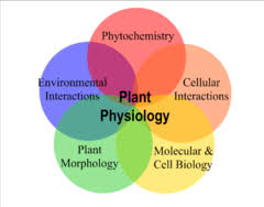Plant Physiology and Pathology