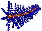 Organic Chemistry of Polymers