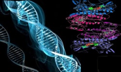Proteomics and Genomics