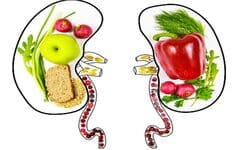 Renal Nutrition & Diet