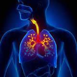 Respiratory Tract Infection Therapy