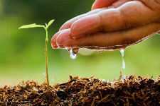 Soil Science: Agriculture