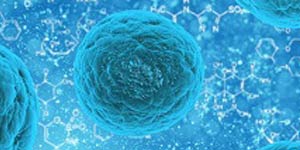 Somatic Stem cell Aging