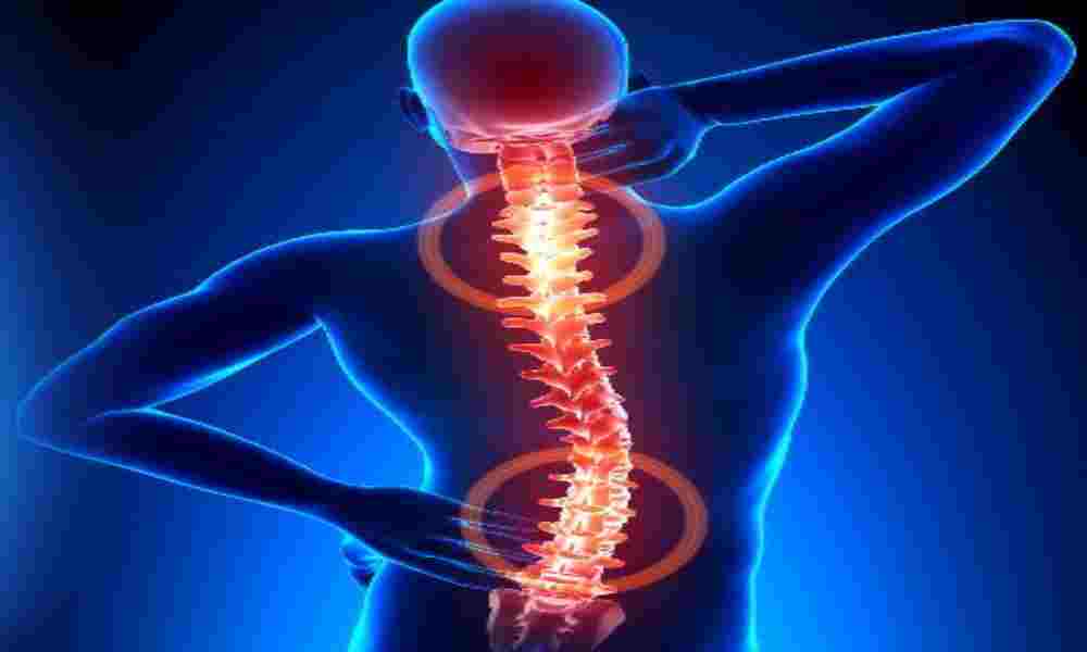 Spine and Spinal Disorders