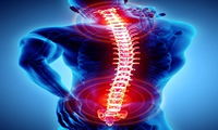 Spine and Spinal Disorders