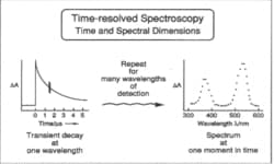 Time-Resolved (TR) Spectroscopy