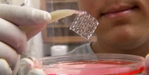 Tissue Engineering and 3D Printing
