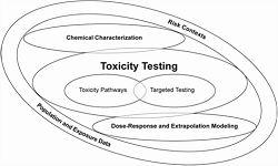 Toxicity Testing Methods