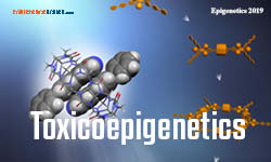 Toxicoepigenetics