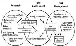 Toxicologic Risk Assessment