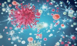 Ebola and Zika Viral Infections