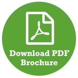 Veterinary Microbiology And Microbial Disease 2nd Edition Pdf
