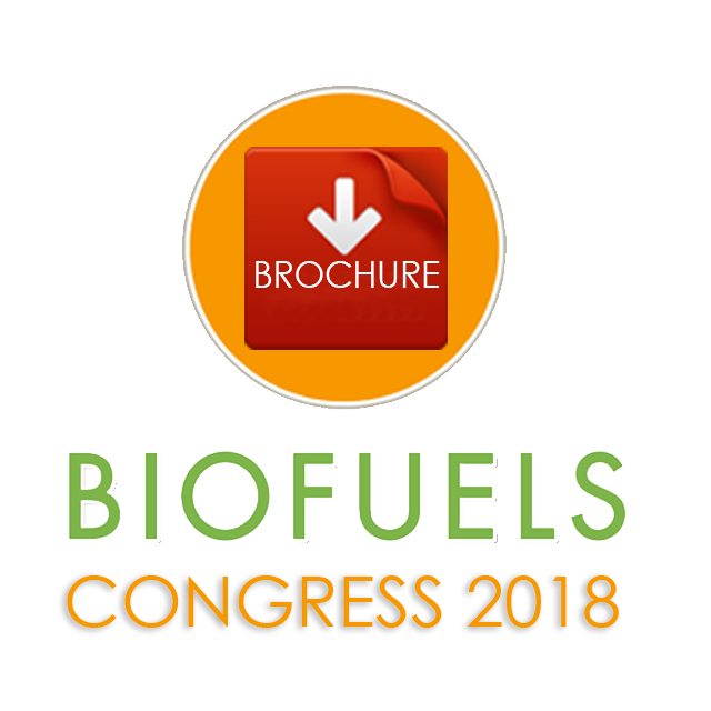 cs/upload-images/biofuels-bioenergy-europe2018-32724.png