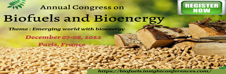Emerging World with Bioenergy