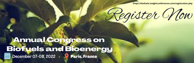  - Emerging World with Bioenergy