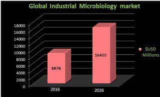 Graphical representation of Microbiology Market Analysis