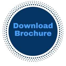 cs/upload-images/dentalm@2026-96259.gif