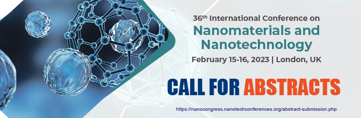  - Nanomaterials 2023