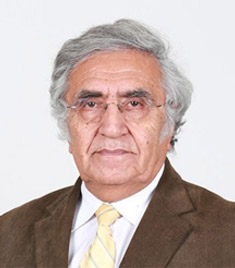 Ahmet Fahri ÖZOK