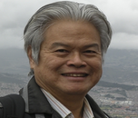 Kaufui V Wong