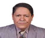 Nagy Abdulsamee Abdulhameed