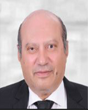 Mahmoud Aly Rageh 