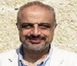 Adel M Talaat