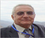 Ayoub A Bazzaz
