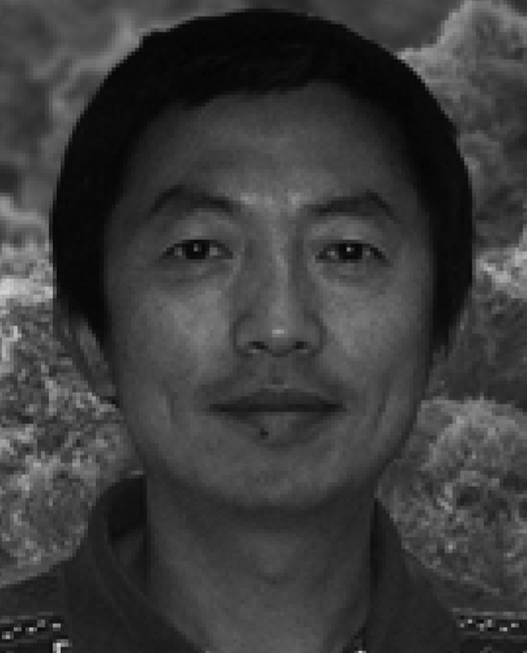Ruohong Sui