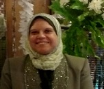Sawsan M.Amer