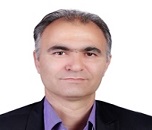 Shahrokh Makvand Hosseini