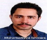 Mohammadreza Ferdows