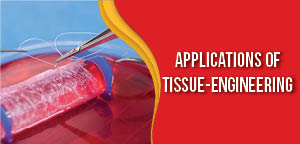 Applications Of Tissue-Engineering