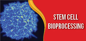 Stem Cell Bioprocessing