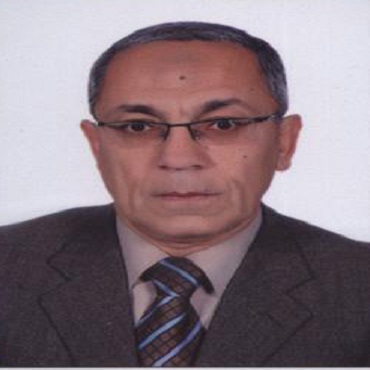 Dr. Baher Abdel Khalek Mahmoud Effat