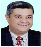 AHMED N. GHANEM