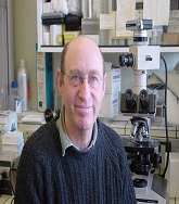 Daniel Aberdam