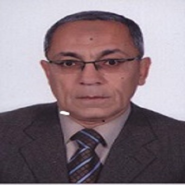 Baher Abdel Khalek Mahmoud Effat