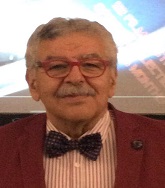 Mohamed Hadi Eltonsi
