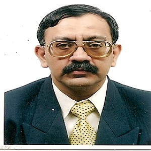 Vivek P Soni