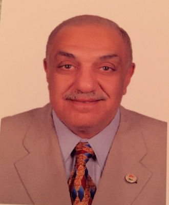 Tarek Mohamed Kamal Metawie