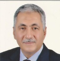 Mohamed A Eldesouky 