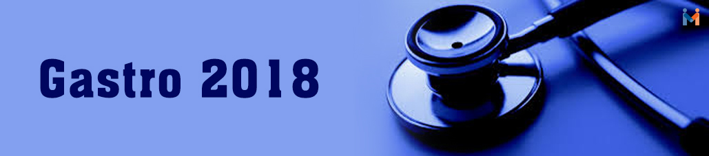 Gastro 2018