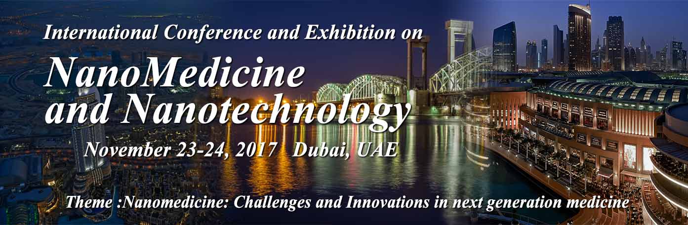 Nanomed Meeting 2017