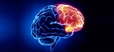 31st International conference on World Neurology