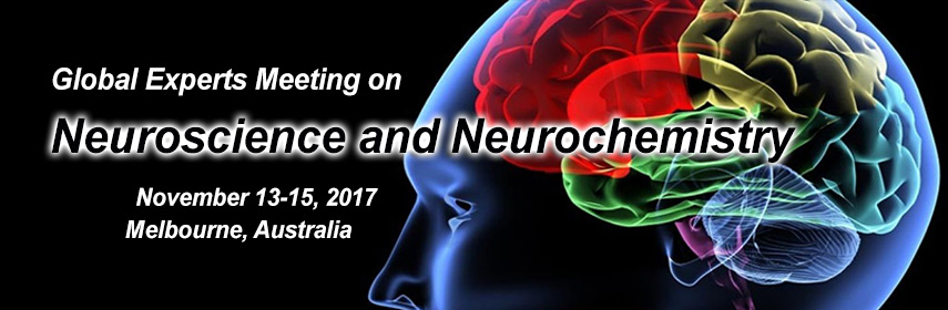 neuroscience meeting-2017