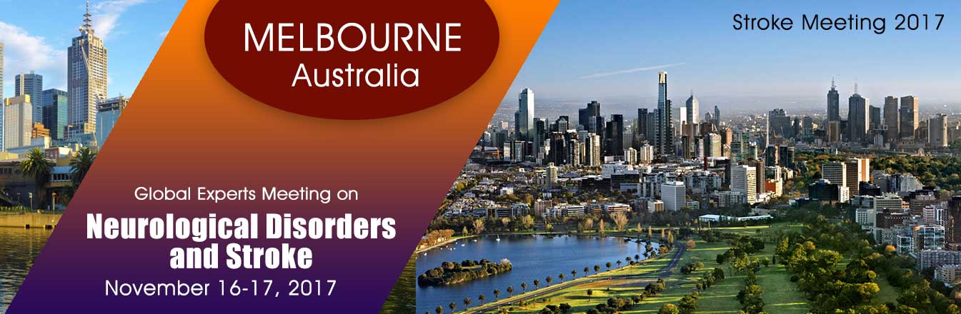 stroke meeting-2017
